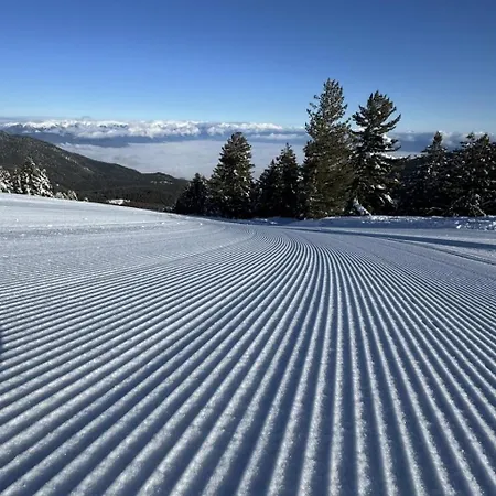 شقة Alpine *