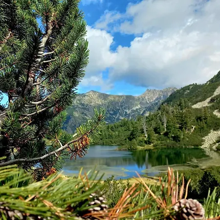 Апартаменты Alpine *