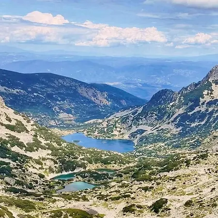 Апартаменты Alpine *