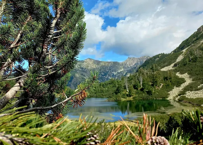 Appartement Alpine *