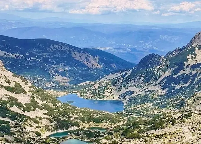 Appartement Alpine *