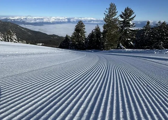 Appartement Alpine *